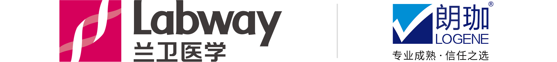 d4_logo15.png